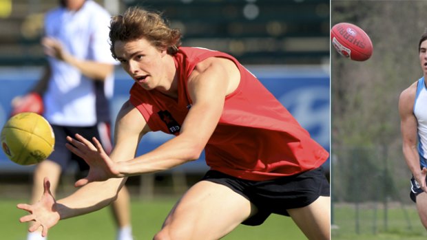Young guns: Joe Daniher (left) plays his first game for Vic Metro, while Troy Menzel (right) has kicked 15 goals in two games.