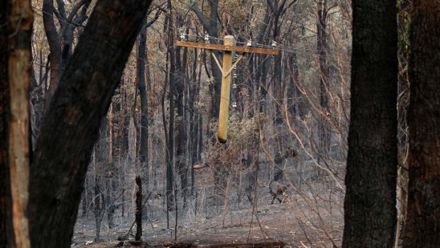 Inconceivable: Removing electricity during bushfires may endanger more lives than it will save.