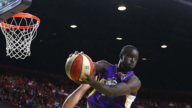 Flying high: Sydney's Jerai Grant grabs a rebound against the Tigers last night.