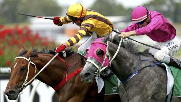 Too strong: Hugh Bowman (right) rides Catkins to win at Rosehill.