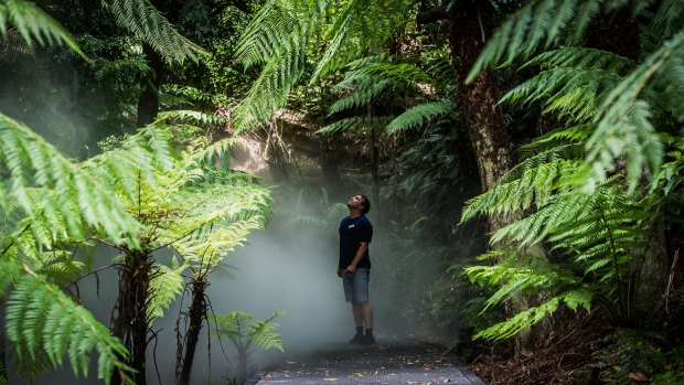 The Australian National Botanic Gardens will host a junior ranger program. 