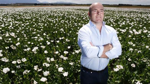 Jarrod Ritchie stands in a field of poppy flowers near Cressy in Northern Tasmania.