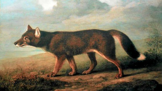 <i>Portrait of a Large Dog</i> by British artist George Stubbs.