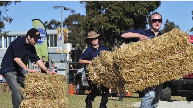 Not in clover: Stray bales end Nathalia's hopes.