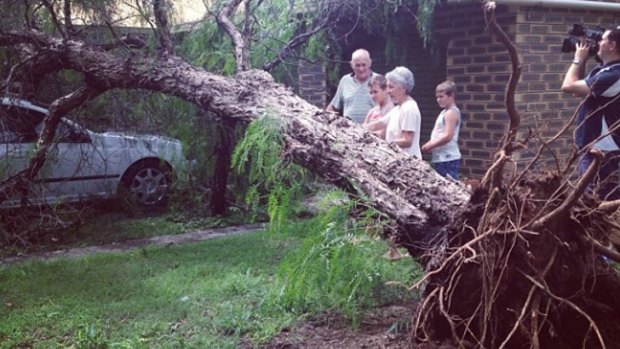 Ipswich residents inspect storm damage outside their home. Photo: Katherine Feeney/Nine News