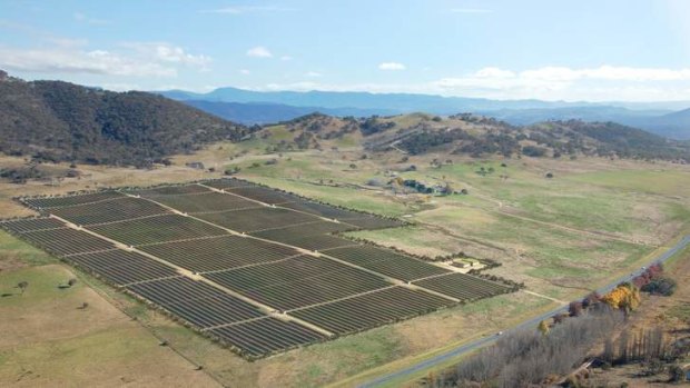 The government has attracted another potential solar farm to the territory.
