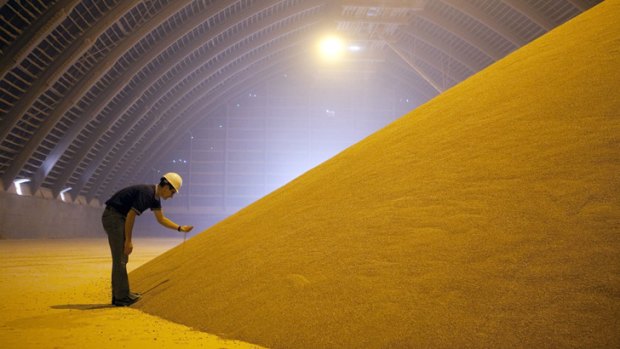 A mountain of processed potash in a silo in Canada. BHP is expected to clarify its commitment to a  project there.