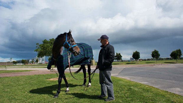 Walk in the park: Gai Waterhouse has Fiorente primed for the Cox Plate.