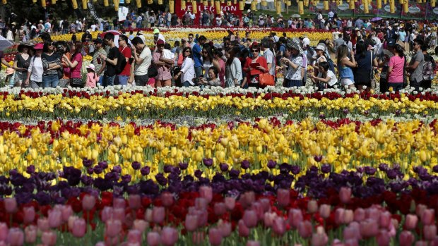 Visitors at last year's Floriade, one of the ACT's biggest tourism drawcards. 