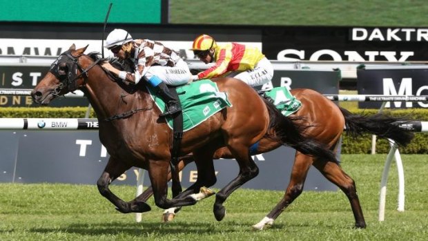 Holding court: Joao Moreira gets home on Hampton Court in the Dulcify Quality at Randwick on Saturday.