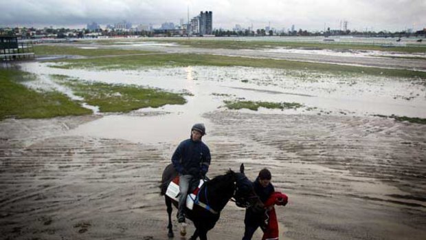 Strapper Will Ford leads Melbourne Cup contender Monaco Consul and track rider Brock Brigham through the sodden ground at Flemington yesterday.
