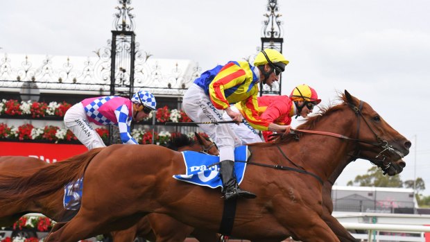 Whip controversy: Ben Melham's use of the whip on Malaguerra in his tight Darley Classic win was the big talking point on Stakes Day.