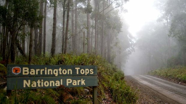 Barrington tops National Park, Gloucester, NSW.