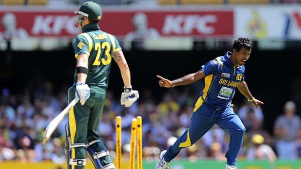 In the swing &#8230; Nuwan Kulasekara celebrates the wicket of Australian captain Michael Clarke at the Gabba last week.