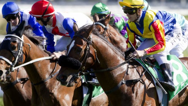 Traditional tote operators say corporate bookmakers have an unfair tax advantage.