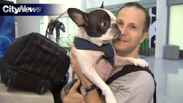 Simba arrives at Toronto's Pearson International Airport. 