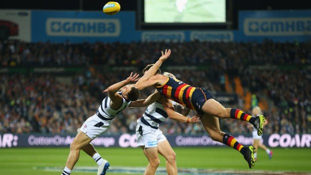 Tough: Cats captain Joel Selwood and the Crows’ Andy Otten collide.