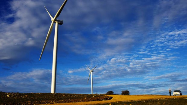 Renewable-energy projects should not soak up government funds, according to one analyst.