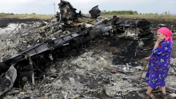 A local resident looks at the wreckage of Malaysia Airlines Flight MH17.