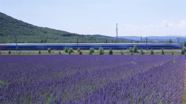 Flying through France: The TGV high-speed train passes glorious sights such as lavender fields. 
