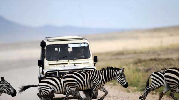 Zebra crossing: The Serengeti reserve, site of the "great migration", where Tanzania's President has promised to put a tourist highway.