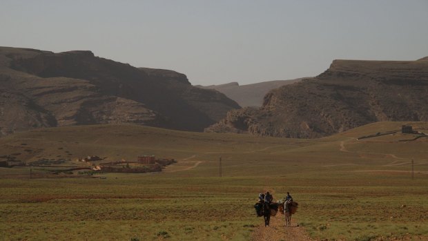 Donkey carry trekkers' luggage through Morocco's M'Goun Valley.