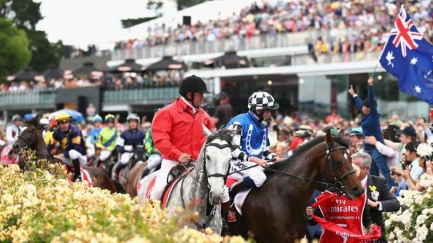 Dwayne Dunn riding Araldo (in background) is frightened by a racegoer holding an Australian flag as he returns to the mounting yard on Melbourne Cup Day.