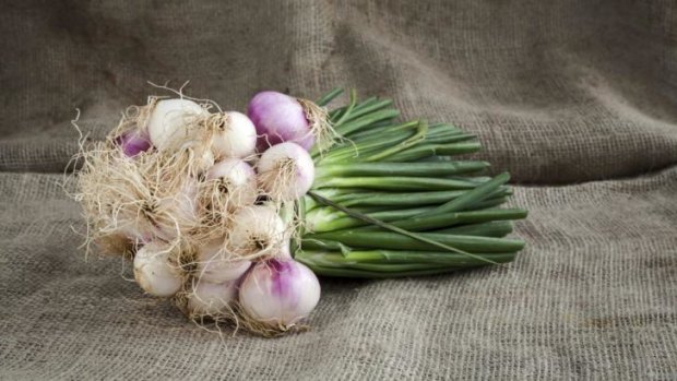 Pretty bunch: Home-grown onions are a completely different deal to the ones you buy in the supermarket.