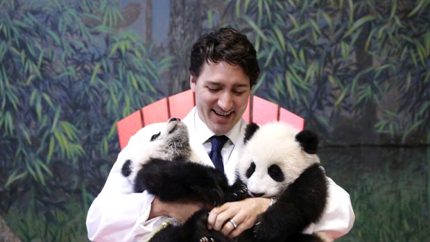 Justin Trudeau cuddles up to baby pandas. What's not to love?