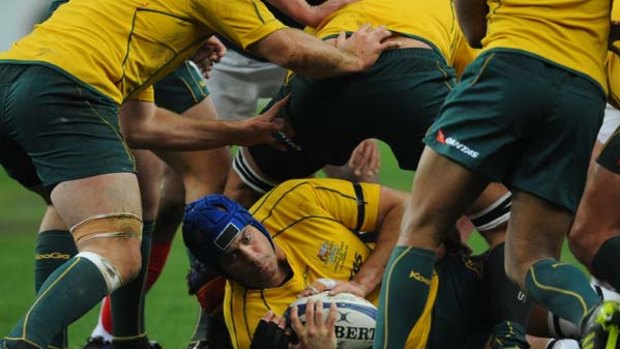 On the ball ... Nathan Sharpe in the Wallabies' record win over France.