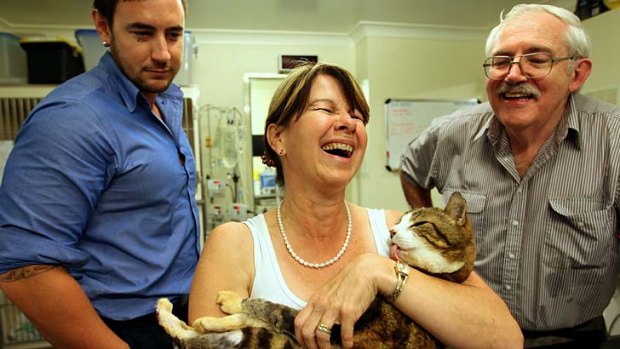 The cat that got the cream: Olly shares the love with owner Tracy Curtis while son Luke Curtis and vet Chris Blair look on.