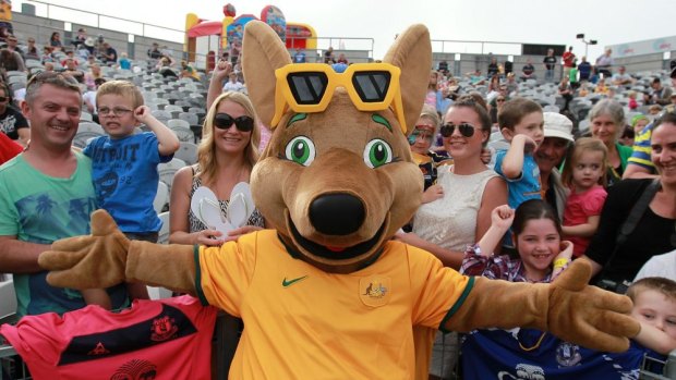 Socceroos slogan, "hopping into history" hasn't been popular with fans.