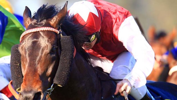 Ambidexter will wear blinkers for the first time in the Emirates Stakes.