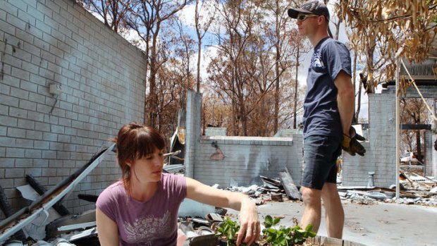Taking charge: Yellow Rock couple Caitlin and Peter Hughes salvage strawberry plants from their burnt-out home.