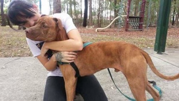 Zeus is briefly united with his owner after being released from the pound on Wednesday, before he left for Canberra.