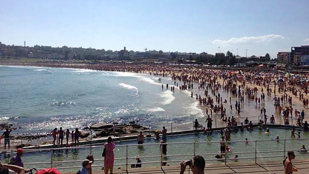 Everybody out ... Bondi Beach was even more crammed than usual on New Year's Day as swimmers fled the water after a shark alarm. Even after the all-clear few dared to venture back in.