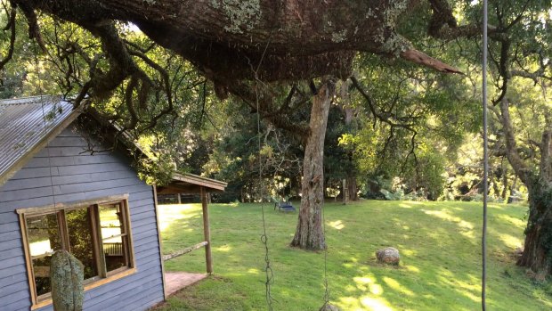 Tree Fern Lodge, Beaumont, NSW. 