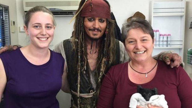 Johnny Depp with Bats Qld volunteers Ashley and Paula Fraser, as well as Fifi the flying fox.