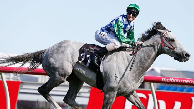 Cup bound: Jockey Glen Boss is all smiles as Puissance de Lune wins at Flemington.