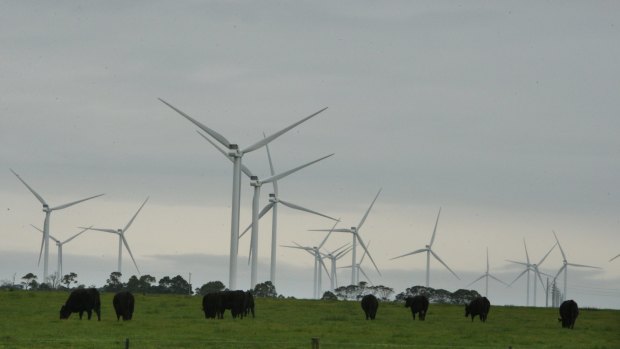 Tony Abbott is opposed to wind farms.
