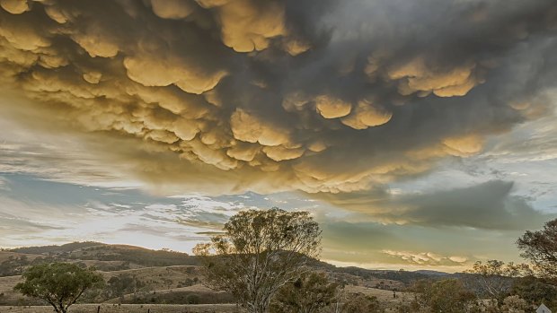 Kym Bradley's photo of a mammatus cloud formation taken on April 12 in the early morning on Smiths Road, Tharwa. 