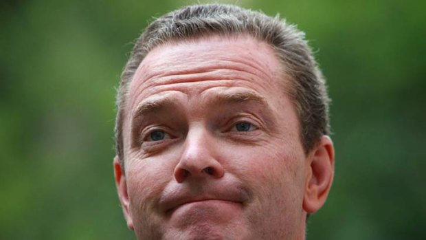 Under fire ... Christopher Pyne.