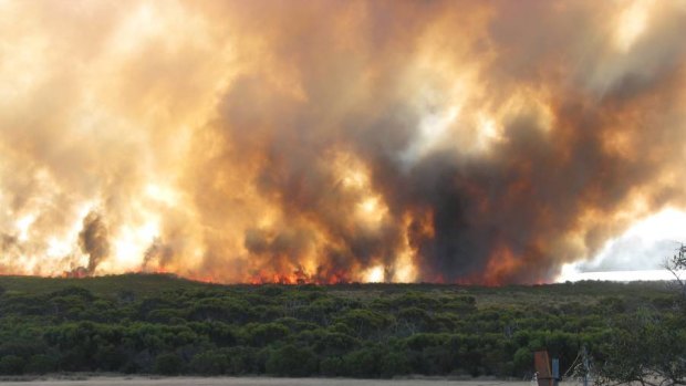 WA Farmers president Dale Park expects the losses from bushfires burning near Esperance are going to be horrific.