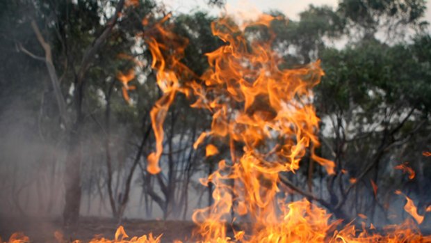 The Morrisons fire, west of Melbourne, in January.