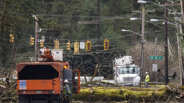 Recovery begins: Crews work near a fallen tree after a Pacific winter storm hit near Redmond, Washington.