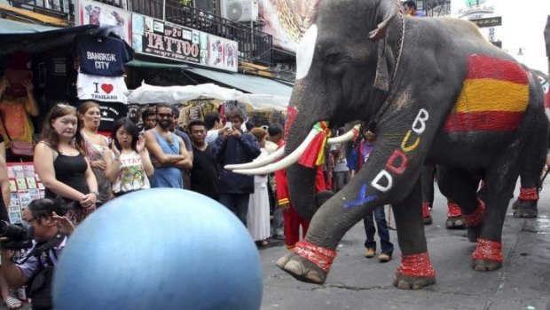 An elephant kicks a ball during an event to celebrate the opening of the World Cup at a popular tourist destination in Bangkok