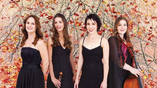 After five years together, their final season ... the Australian String Quartet, from left, Sophie Rowell, Sally Boud, Anne Horton and Rachel Johnston.