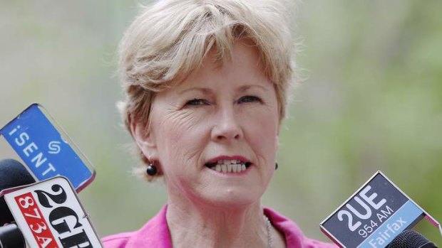 Greens Leader Senator Christine Milne wants Labor to raise its emissions reduction targets.