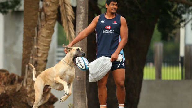 Putting some mongrel in the Waratahs: Will Skelton will make his second start for the Waratahs when they face the Lions on Saturday.