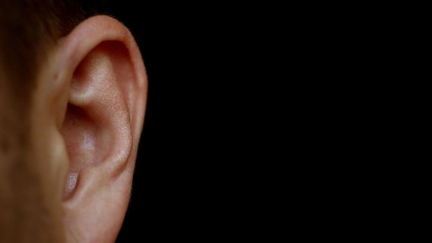 A Queensland woman has been charged over biting off a second woman's ear in a fight.